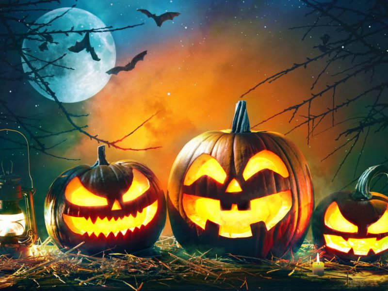 Top 10 Cutest Halloween Decorations